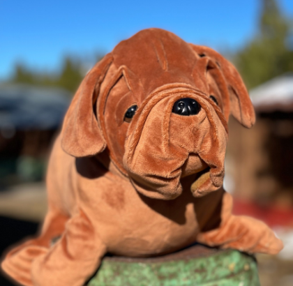Stuffed Animal - Sea Dog
