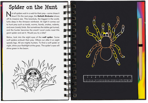 Scratch & Sketch - Bugs!