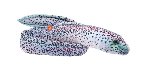 Stuffed Animal - Eel Moray Peppered Stuffed Animal