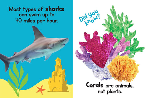 Board Book - Ocean Friends Touch & Feel Sensory Book