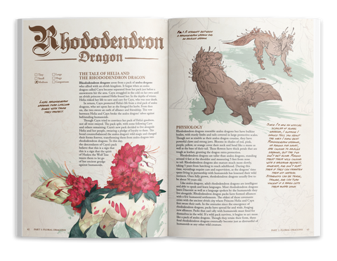 Book (Hardcover) - The Field Guide to Floral Dragons: Flower Dragon Bestiary 5e D&D