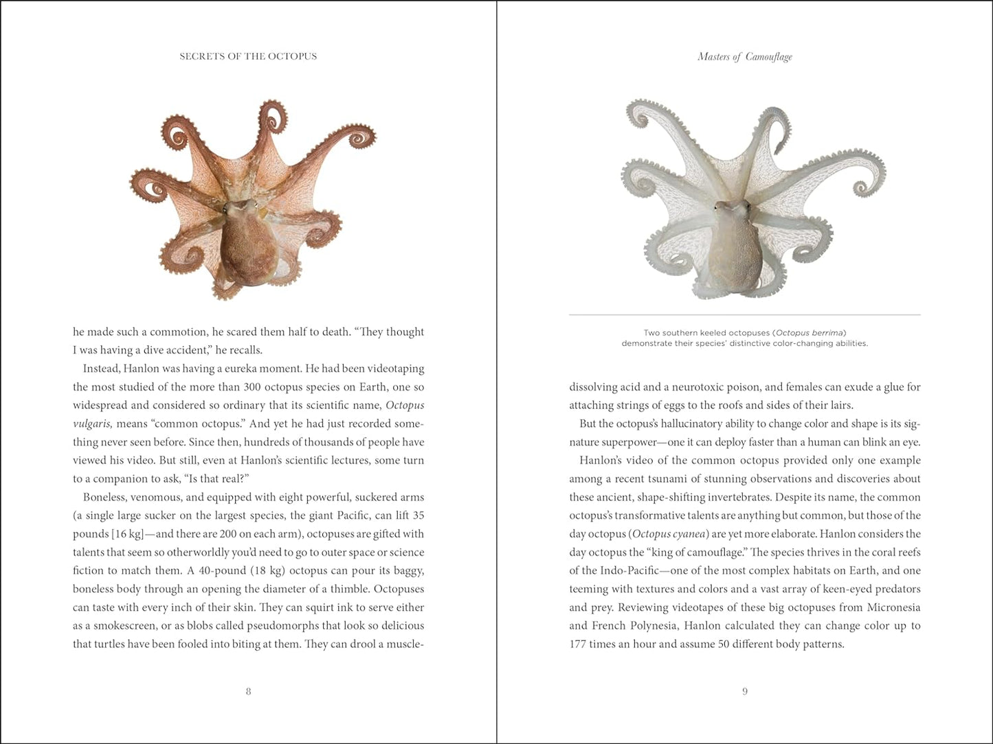 Book (Hardcover) - Secrets of the Octopus