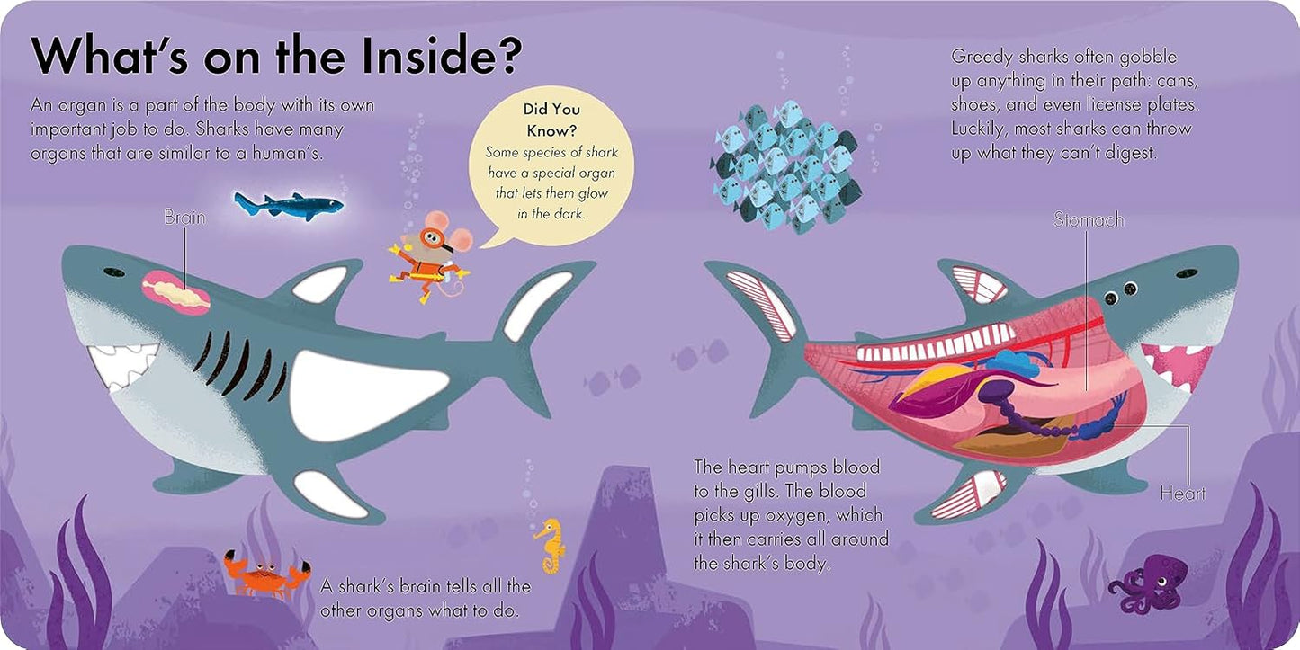 Board Book - How it Works: Shark