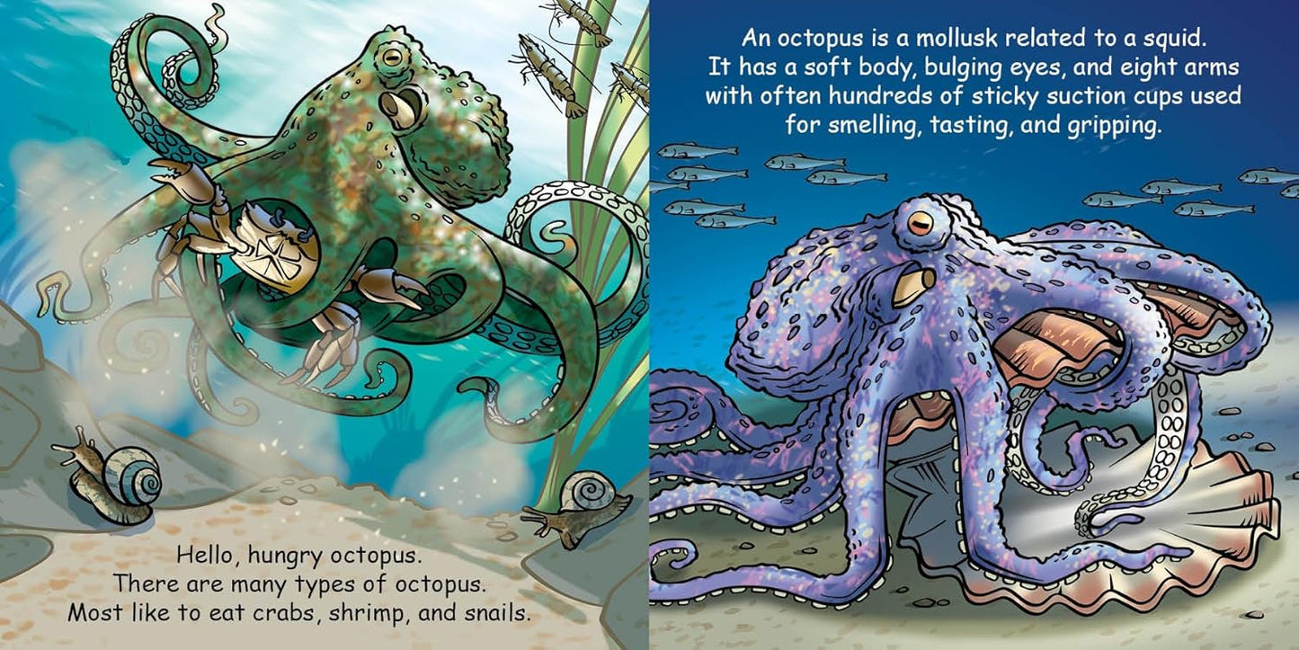 Board Book - Good Night Octopus