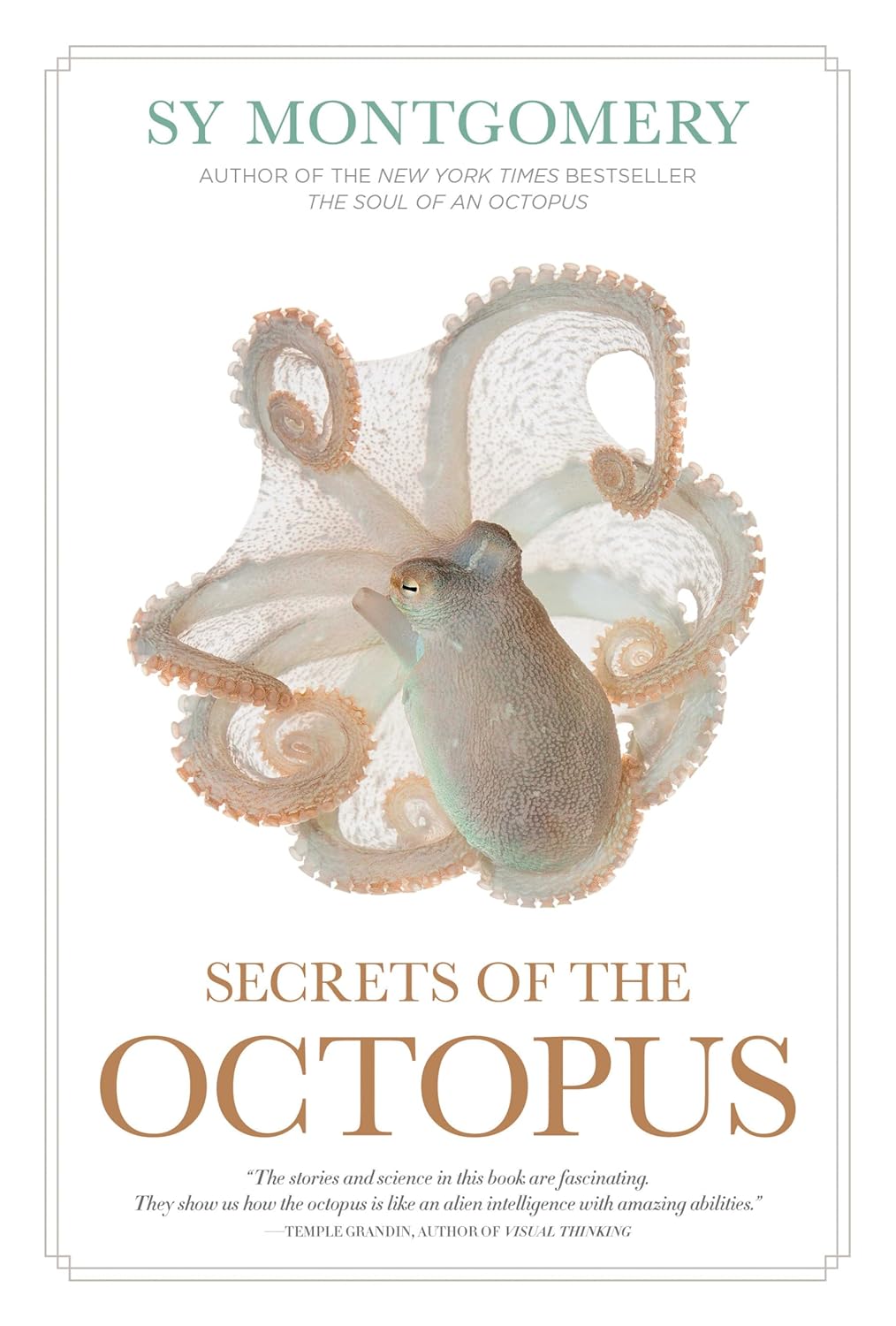 Book (Hardcover) - Secrets of the Octopus