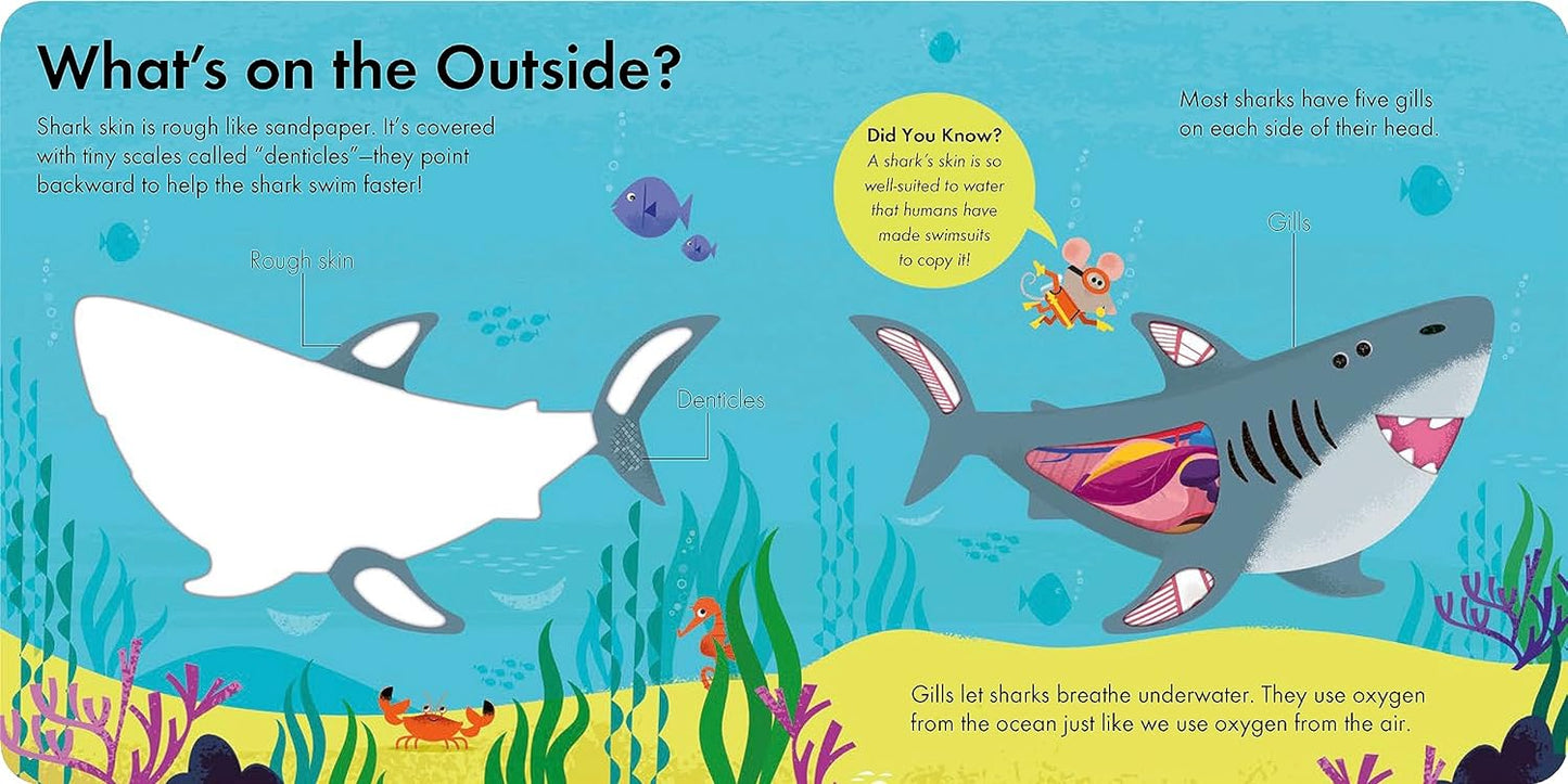 Board Book - How it Works: Shark