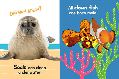 Board Book - Ocean Friends Touch & Feel Sensory Book