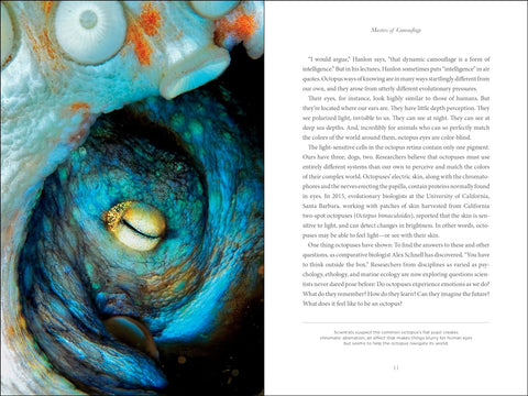 Book (Hardcover) - Secrets of the Octopus