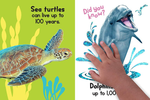 Board Book - Ocean Friends Touch & Feel Sensory Book