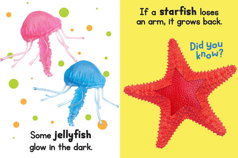 Board Book - Ocean Friends Touch & Feel Sensory Book