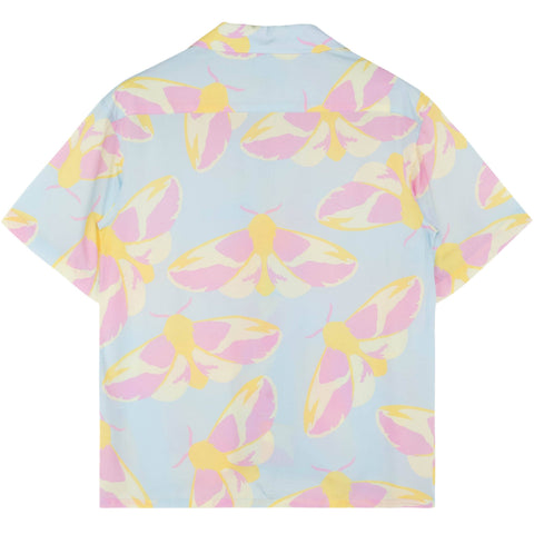 Button Up - Rosy Maple Moth