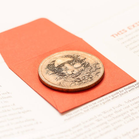 Decision Maker Coin - Fungible Token in Solid Copper