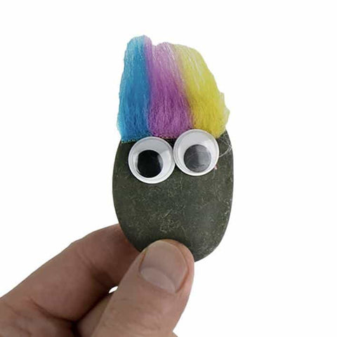 World's Smallest - Pet Rock