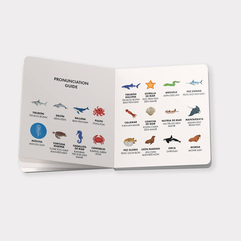 Board Books - My First Bilingual Library: A Spanish-English Set