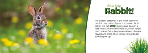 Book (Hardcover) - Whose Baby Butt?