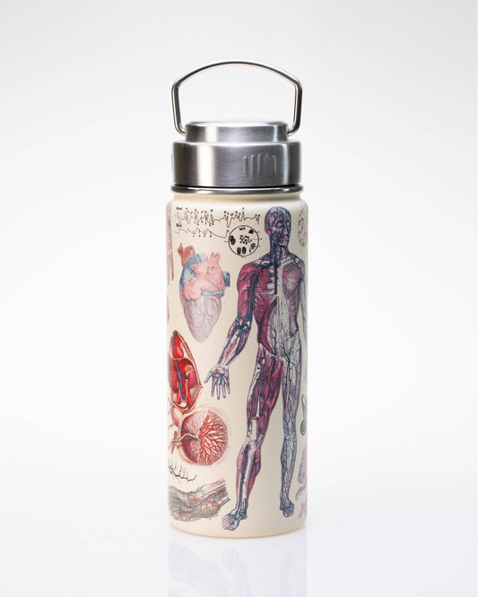 Water Bottle (18oz) - Human Anatomy Stainless Steel