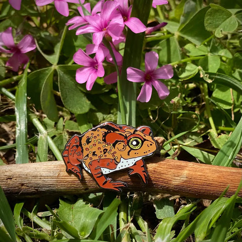 Enamel Pin - Toad