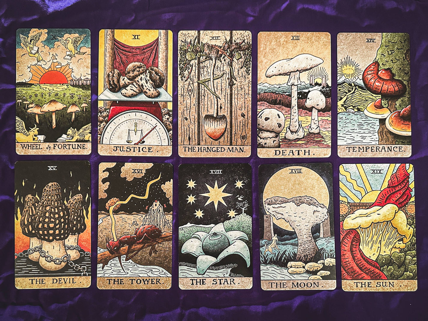 Tarot Cards - The Mushroom Hunter's Arcanum