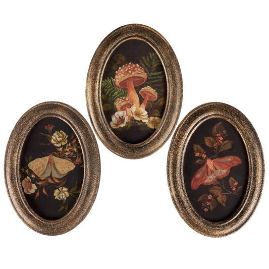 Framed Oval Decor - Hidden Garden Assorted