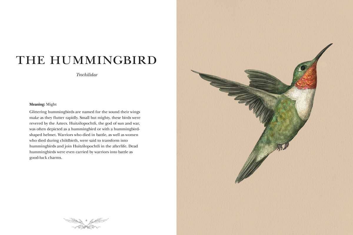 Book (Hardcover) - Ornithography