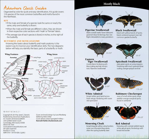 Book (Paperback) - Butterflies of Northwest Quick Guide