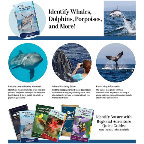 Book (Paperback) - Whale-Watching on the Pacific Coast Quick Guide