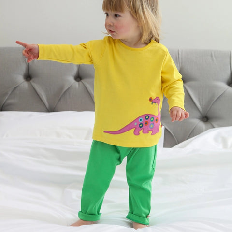 Shirt (Long Sleeve) - Dinosaur Applique