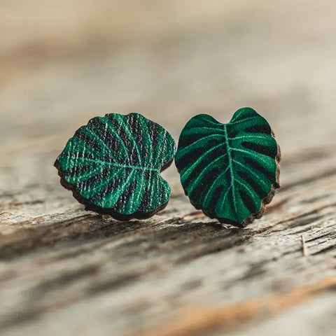 Earrings (Stud) - Monstera