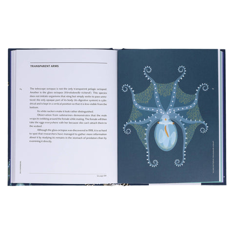 Book (Hardcover) - Sea Wonders