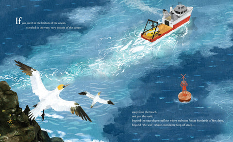 Book (Hardcover) - If You Went to the Bottom of the Ocean