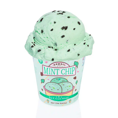 Slime - Mint Chip Scented Ice Cream Pint