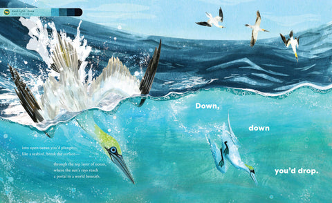 Book (Hardcover) - If You Went to the Bottom of the Ocean