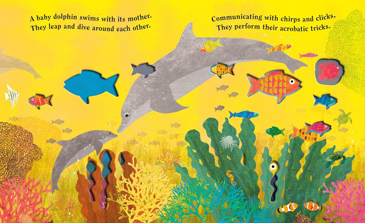 Board Book - Ocean: A Peek-Through Book