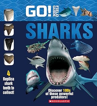 Book (Hardcover) - Go! Field Guide: Sharks