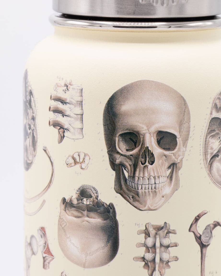 Water Bottle (32oz) - Skeleton  Steel