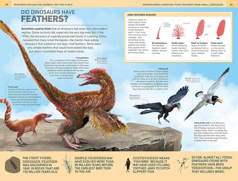 Book (Paperback) - 1,000 Amazing Dinosaur Facts