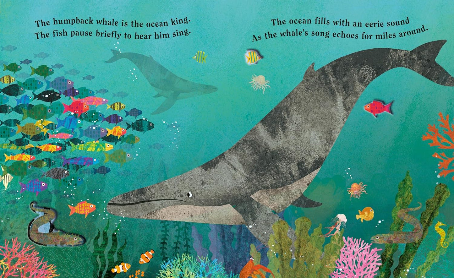 Board Book - Ocean: A Peek-Through Book