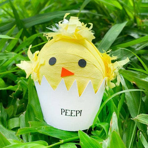 Mini Surprize Ball - Chicken