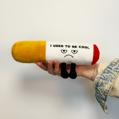 Stuffed Animal - "I Used to be Cool"