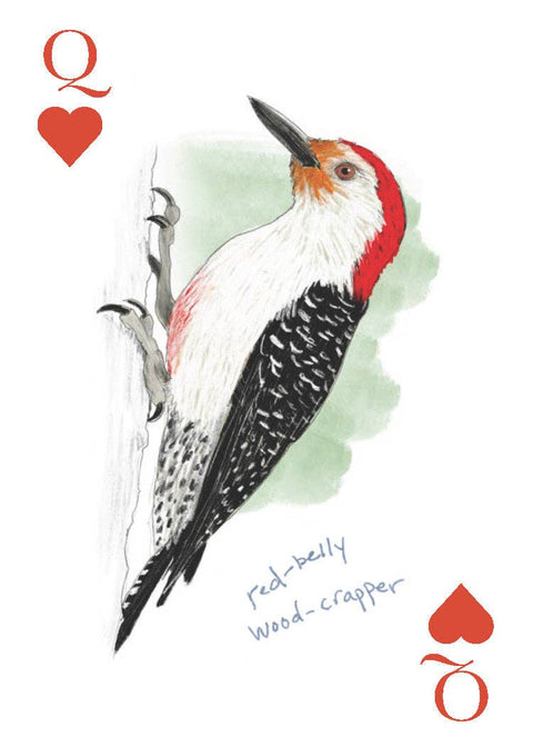 Playing Cards - Field Guide to Dumb Birds