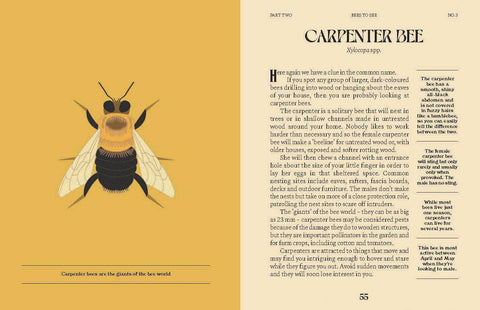 Book (Hardcover) - Bees