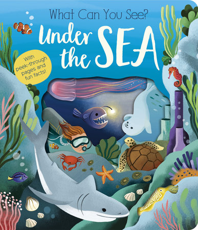 Book (Board) - What Can You See? Under The Sea