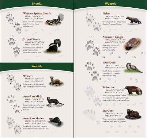 Book (Paperback) - Animal Tracks of Northwest Quick Guide
