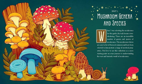 Book (Hardcover) - Mushroom Magick by Shawn Engel