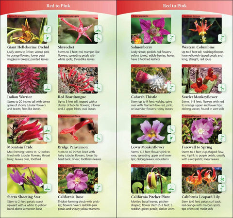 Book (Paperback) - Wildflowers of Pacific Northwest Quick Guide