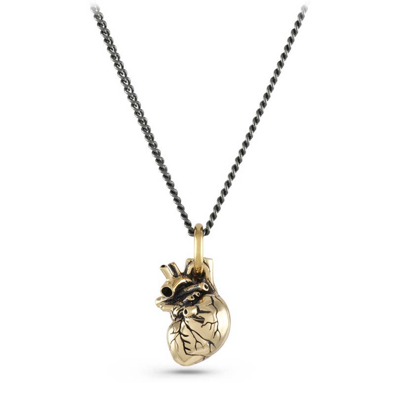 Jewelry - Small Anatomical Heart Necklace (Bronze)