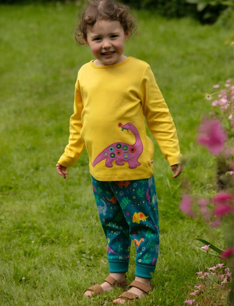 Shirt (Long Sleeve) - Dinosaur Applique