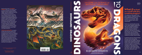 Dinosaurs to Dragons by Elizabeth Shreeve: Hardcover; 96 pages / English