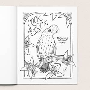 Adult Coloring Book - 30 Dirty Birdies