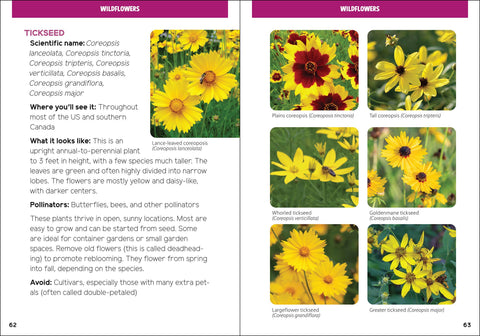 Book (Paperback) - Pollinators & Native Plants for Kids